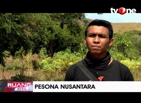 Kecantikan Tersembunyi Pulau Kelapa di Bima