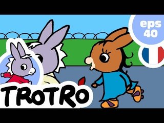 TROTRO - EP40 - Trotro champion de judo