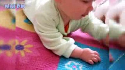 Cutest Relationship French Bulldog And Baby Videos Compilation(240p)