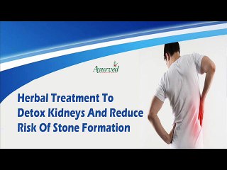 Herbal Treatment To Detox Kidneys And Reduce Risk Of Stone Formation