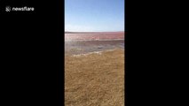 Salt lake in China turns pink