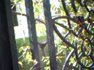 les tourelles des arts 4