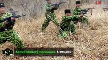 United States VS North Korea Land Forces Comparison | U.S. Army vs North Korean People's Army | 2017