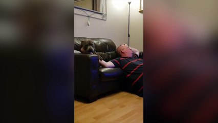 Ce chien aime vraiment les caresses !