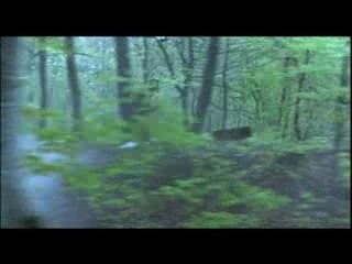 LES PORTES DU TEMPS VF