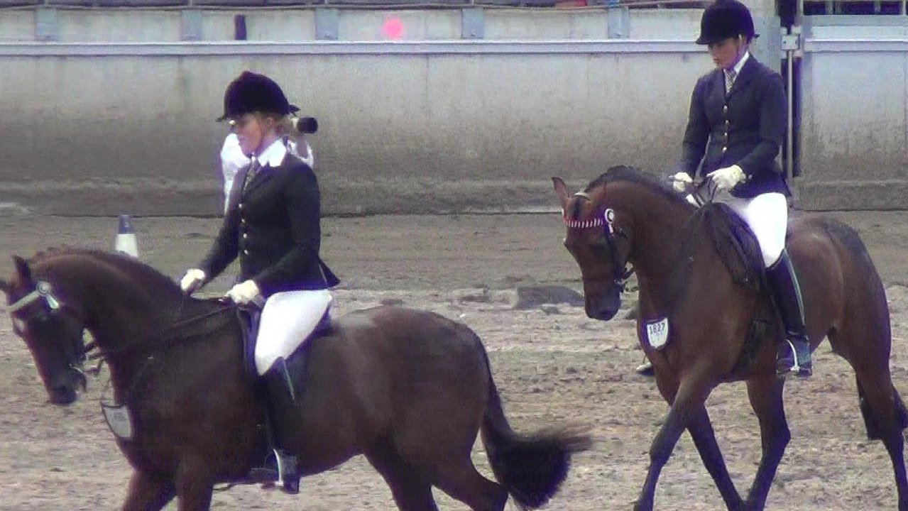 Sydney Easter Show 2017, 4 of 6HD Districts Exhibits, Rodeo, Lachie Cossor, Space Cowboy Show, 15 & 16 Apr 17