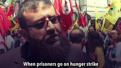 Palestinians Begin Mass Hunger Strike