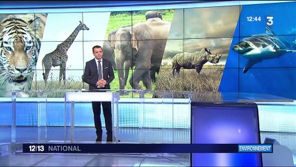 Trafic d'animaux sur les sites de l'Unesco