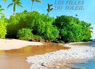 les filles du soleil wallas oliver