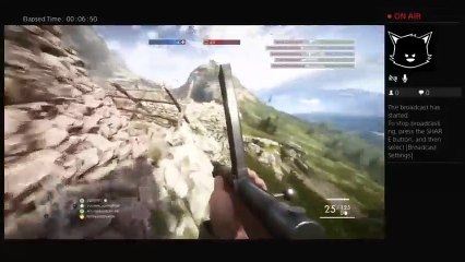 Wut in tarnation (10)