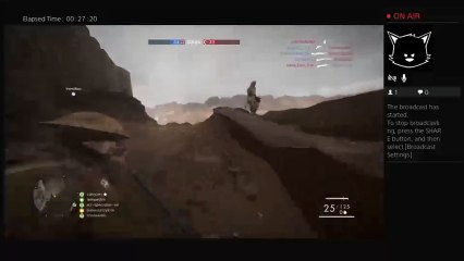 Wut in tarnation (11)