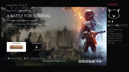 Wut in tarnation (12)