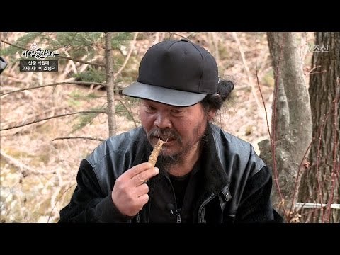 더덕이 우수수! 더덕을 생으로 먹는 맛은? [자연愛산다] 2회 20170418