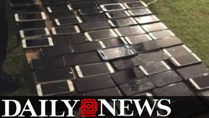 New York Man Accused Of Stealing Over 100 iPhones At Coachella