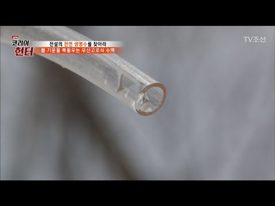 땅속의 양분을 그대로 담은 우산고로쇠 수액! [뉴 코리아 헌터] 42회 20170320