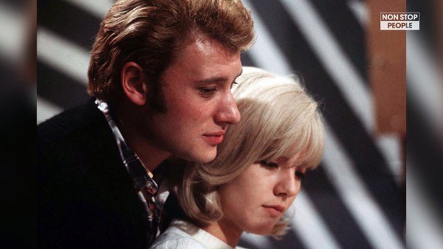 Johnny Hallyday et Sylvie Vartan : Le couple immortalisé au musée des Beaux-Arts de Calais