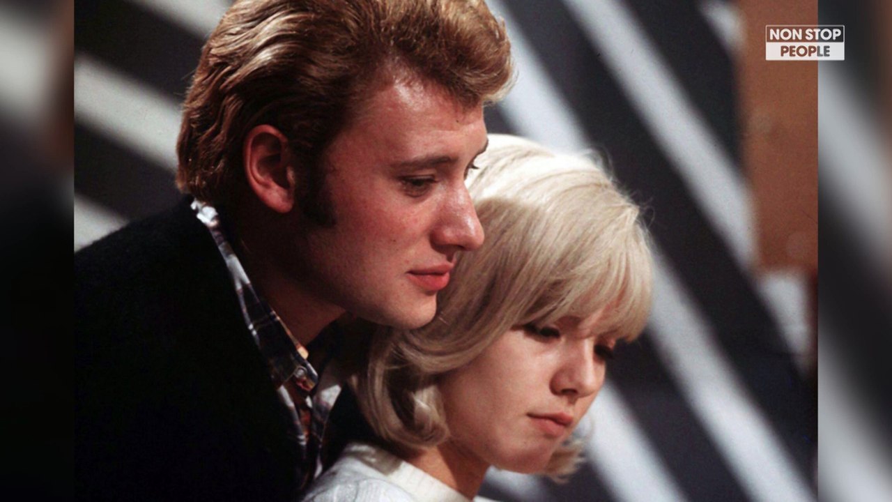 Johnny Hallyday et Sylvie Vartan : Le couple immortalisé au musée des Beaux-Arts de Calais