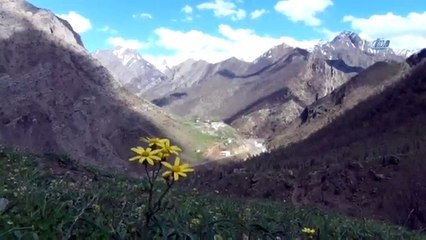 Harçlıklarını Çıkarabilmek İçin Hayatlarını Riske Atıyorlar