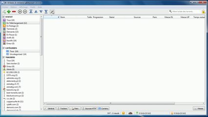 Tutoriel pour bien démarrer avec qBittorrent