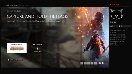 Wut in tarnation (15)