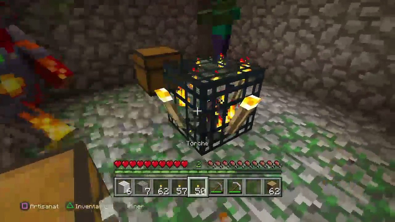 Minecraft (44)