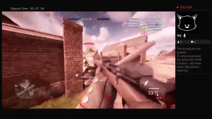 Wut in tarnation (17)