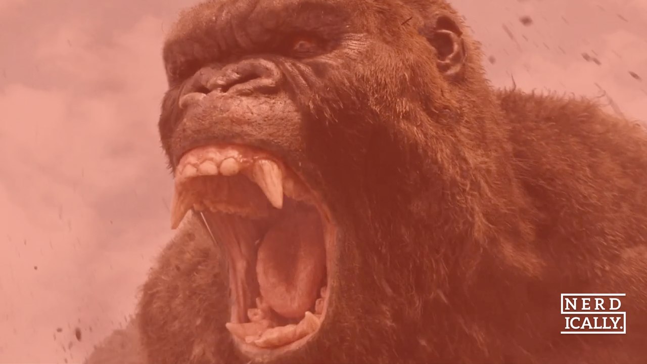 KONG! Nove filmes e contando!