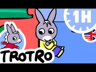 TROTRO - 1 hour - Compilation #04 - Trotro play with his feet