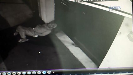 Homem arromba porta de petshop durante a noite