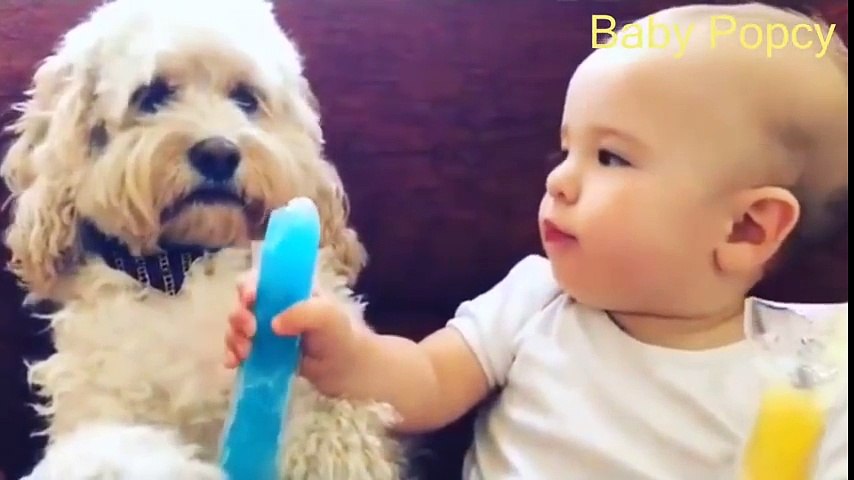 Best Funny Kids Videos 2017 ★ Kids Funny Video ★  Funny Videos For Kids ★ Funny Baby Compilation