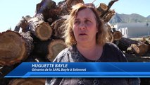 Hautes-Alpes : Bois+05, un projet qui privilégie les circuits courts