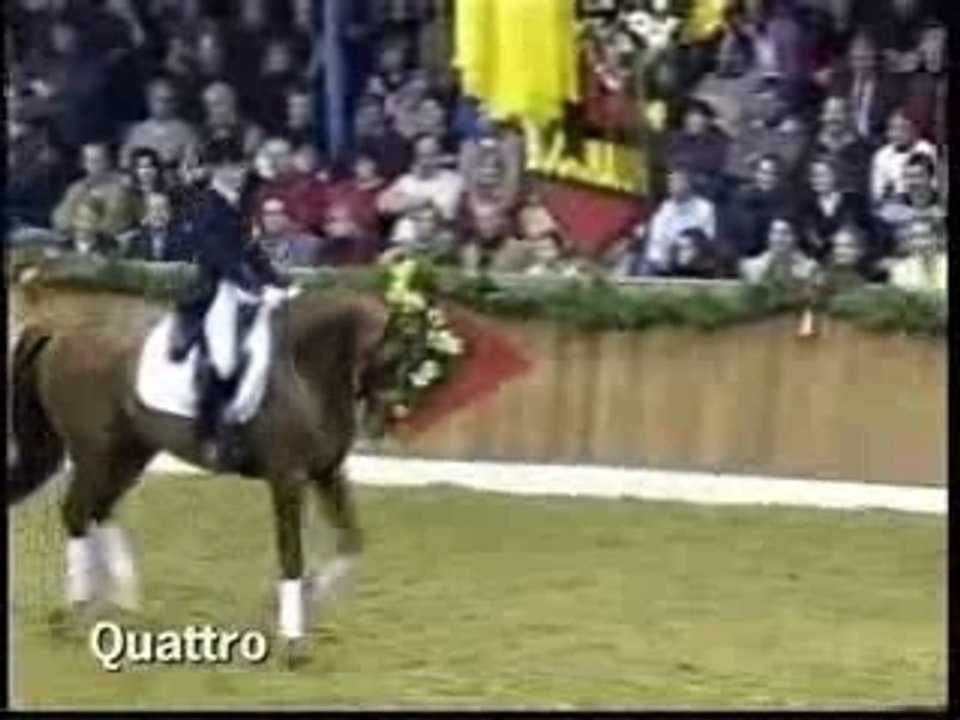Quattro B dressage