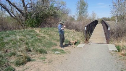 Flutist and His Cute Little Puppy Dog