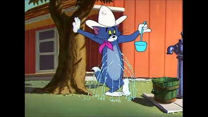 Tom and Jerry, 81 Episode - Posse Cat (1954)