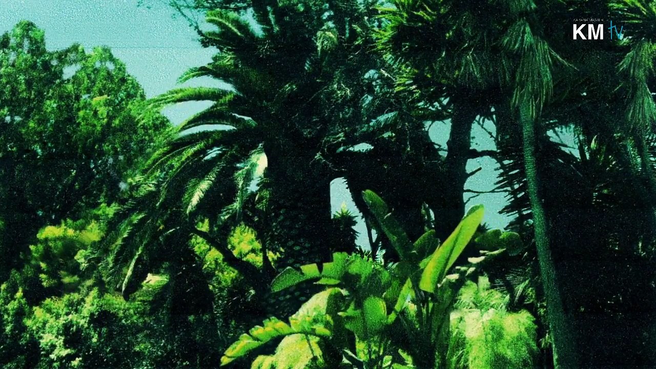 MY FAVORITE SONGS - APRIL 2017