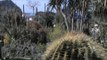 Ischia (NA) - Convegno sull'ambiente ai Giardini Ravino di Forio (18.04.17)