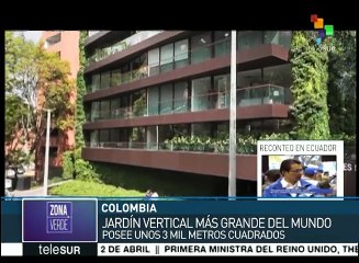 El jardín vertical más grande del mundo está en Colombia