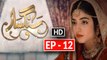 Sangsar Episode 12 Full HD HUM TV Drama 18 April 2017