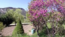 Alpes du Sud : La com com du Sisteronnais Buëch en visite dans les villages