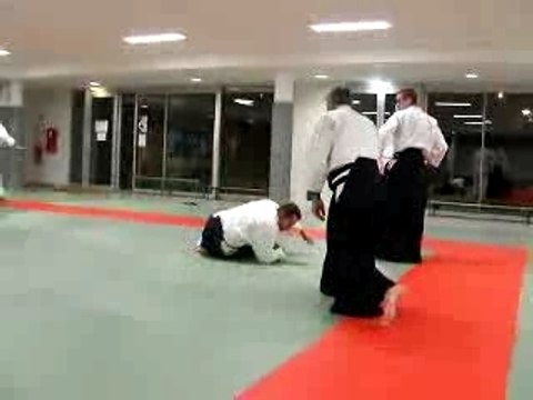 Dojo Aikido Meythet Demonstration Michel