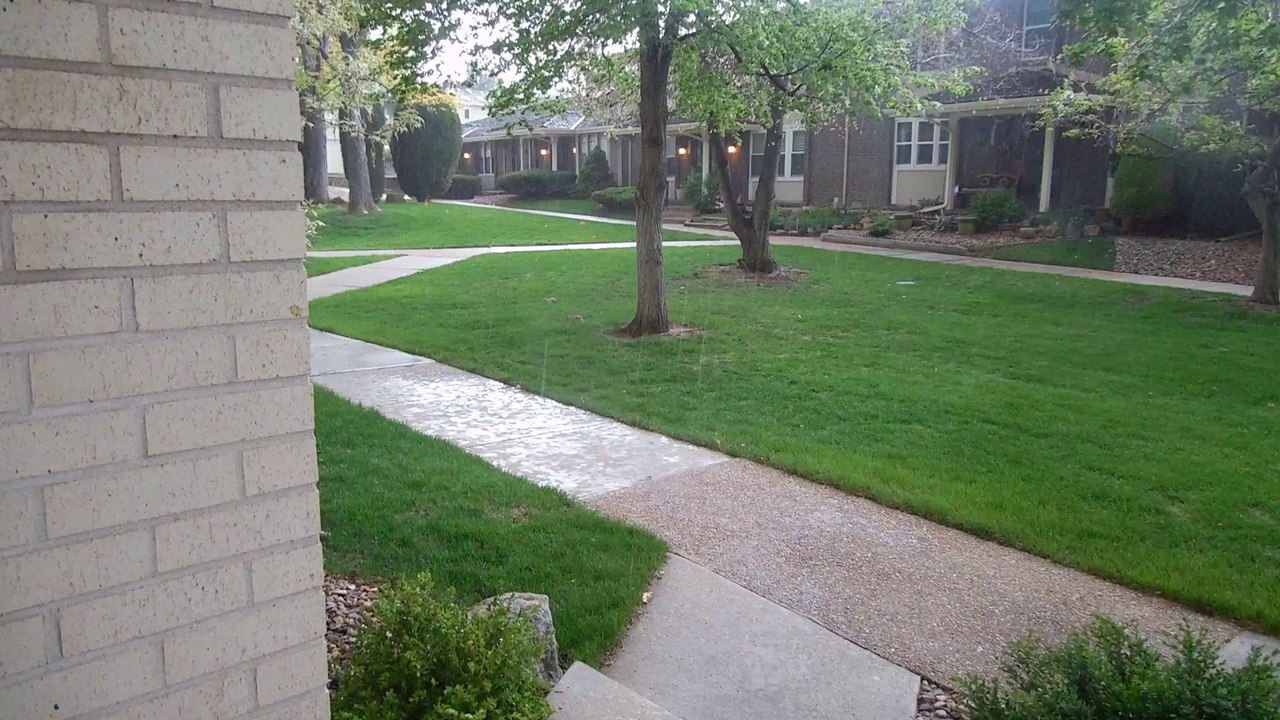 Triumph: "Tears in the Rain" (Two Bunnies in the Rain; 1080p)