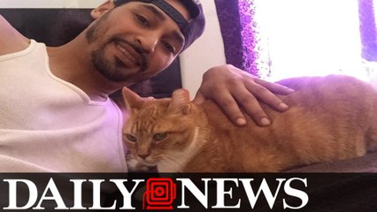 Queens man accused of tossing cat off balcony denies charges