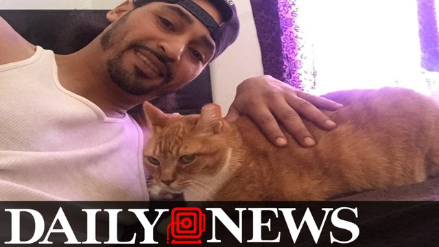 Queens man accused of tossing cat off balcony denies charges