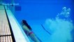 Under Water 3 - Women's Diving