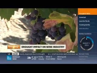 Monique Soltani Reports for The Weather Channel: Napa Valley Drought on AMHQ