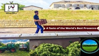 A Taste of the World's Best Prosecco with Masottina Winery & Wine Oh TV