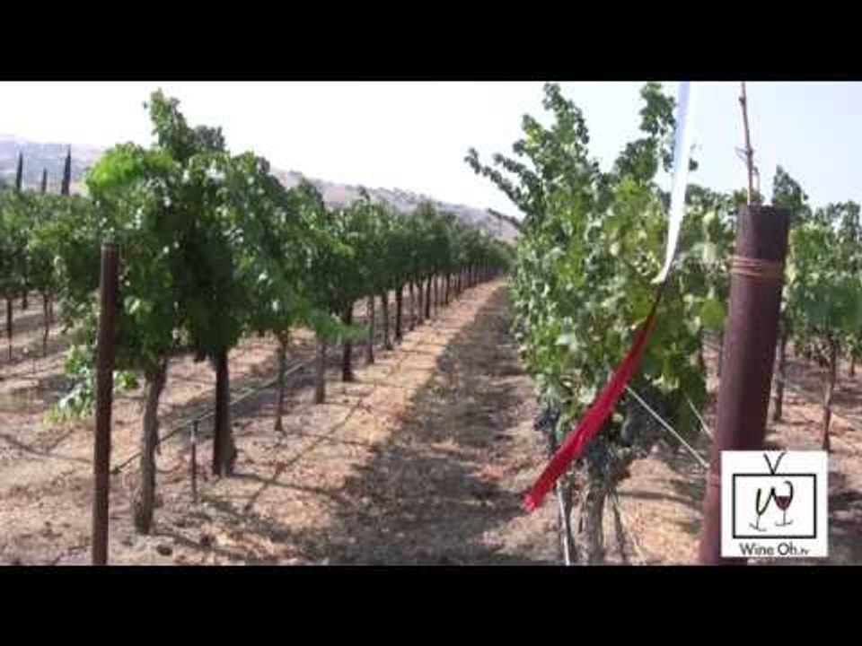 Learn About Livermore Valley Wine Tours and Tastings