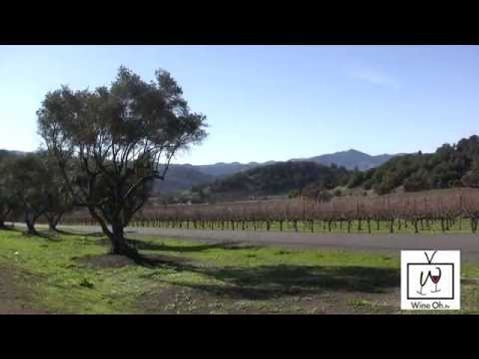 What Every Wine Drinker Needs to Know about the California Drought WINE TV