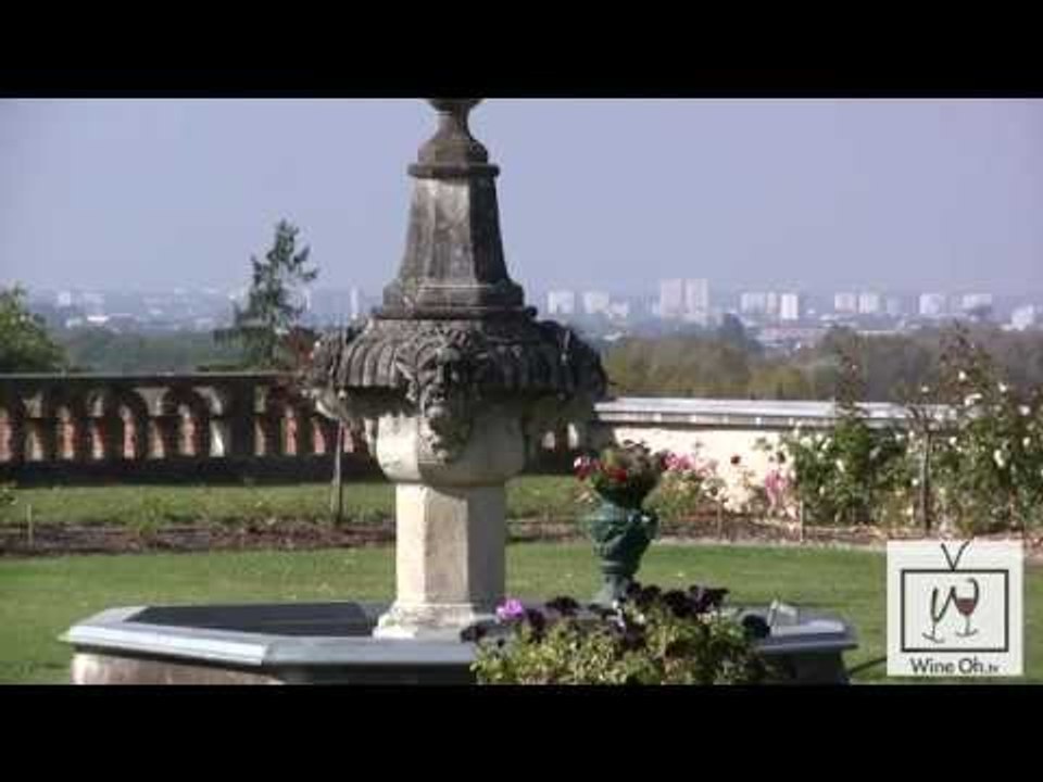 Loire Valley France Wine Tasting & Tours: Vouvray & Chinon