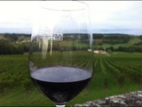 Traveling in Bordeaux Wine Tours & Top Travel Tips